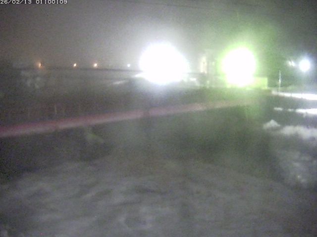 日野川１１2026/02/13 11:20:00