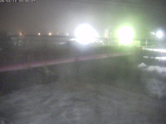 日野川１１2026/02/13 11:20:00