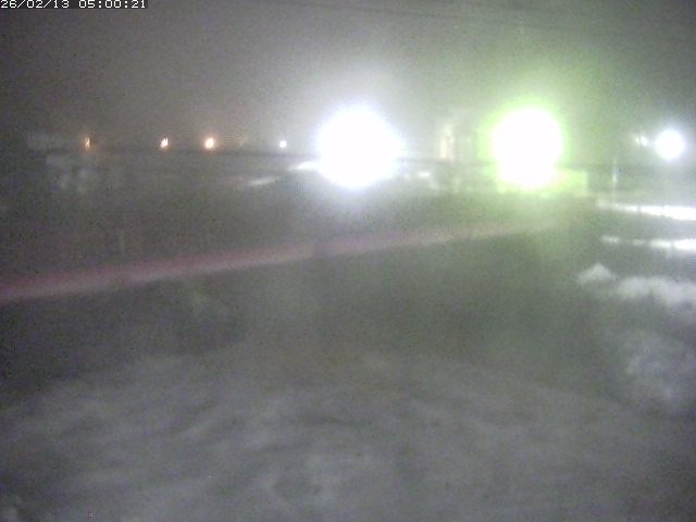 日野川１１2026/02/13 11:20:00