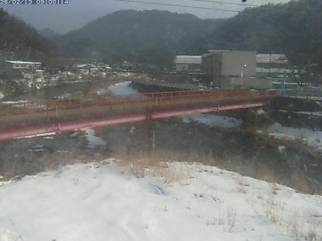 日野川１１2026/02/13 11:20:00