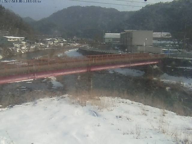 日野川１１2026/02/13 11:20:00