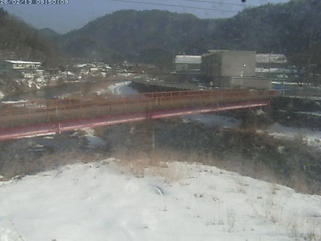 日野川１１2026/02/13 11:20:00