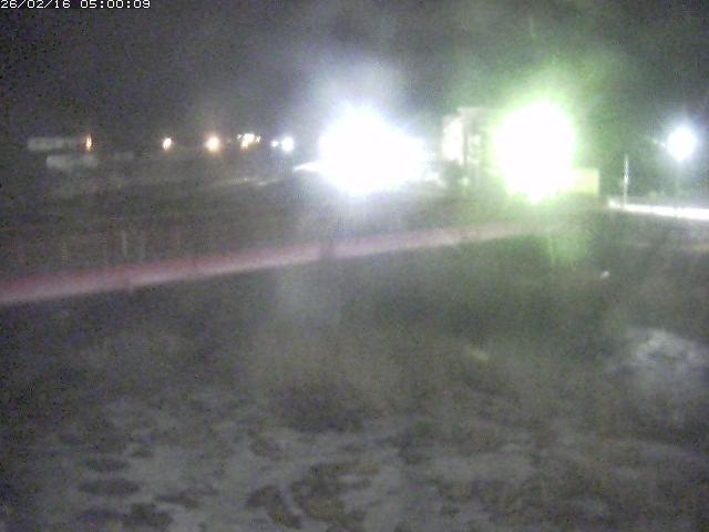 日野川１１2026/02/16 12:00:00