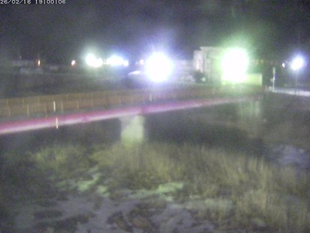 日野川１１2026/02/17 13:00:00