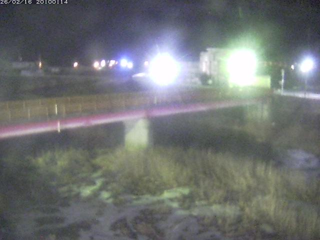 日野川１１2026/02/17 13:00:00