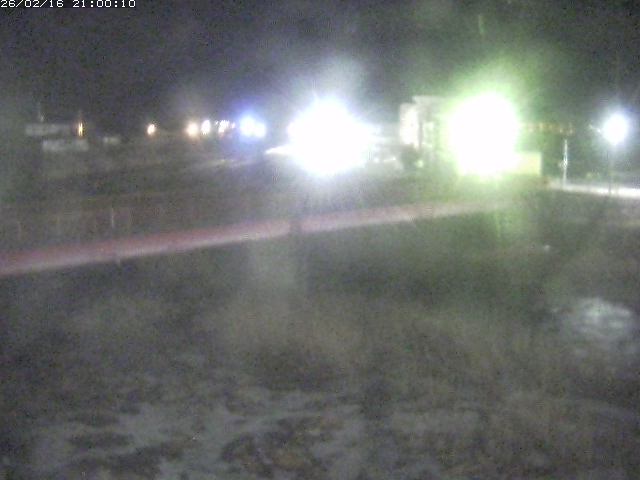 日野川１１2026/02/17 13:00:00