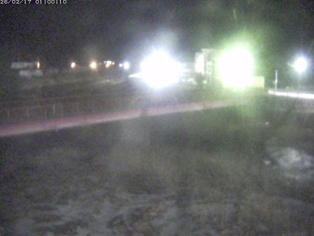 日野川１１2026/02/17 13:00:00