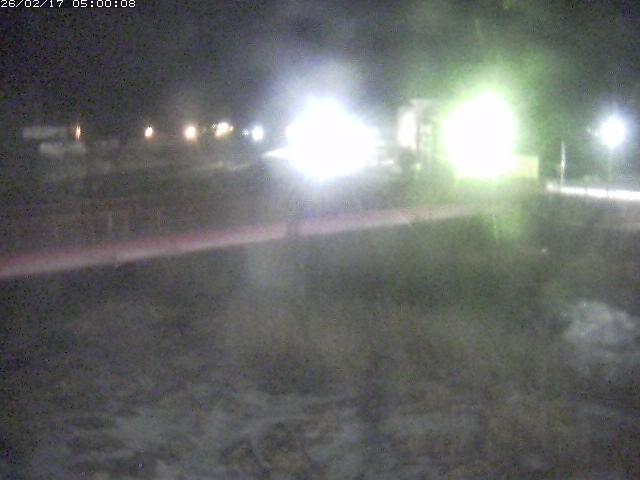 日野川１１2026/02/17 13:00:00