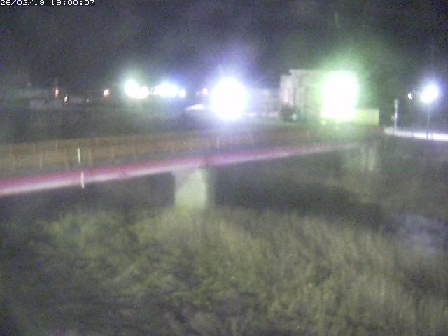 日野川１１2026/02/20 13:50:00