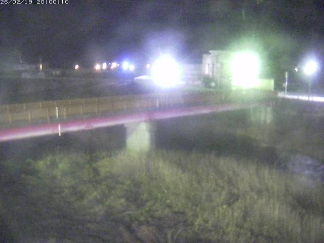 日野川１１2026/02/20 13:50:00