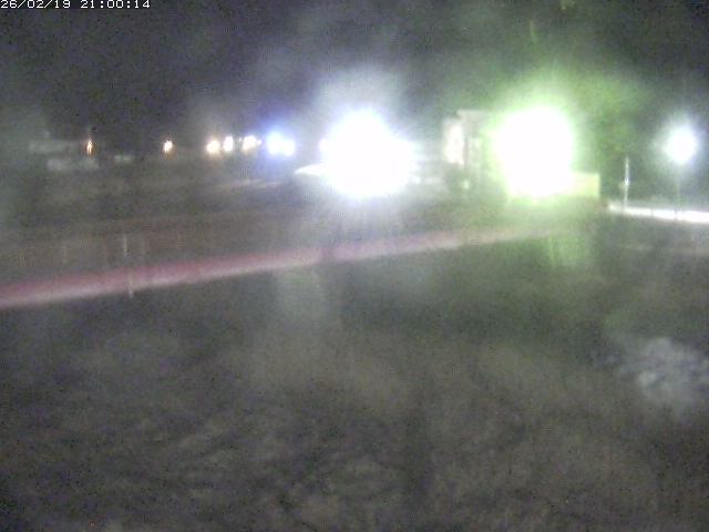 日野川１１2026/02/20 13:50:00