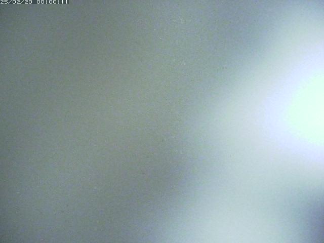 日野川１１2026/02/20 13:50:00