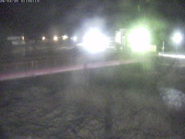 日野川１１2026/02/20 13:50:00