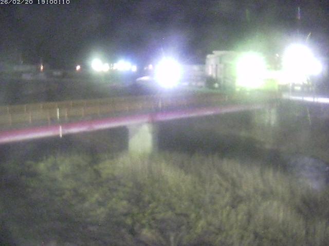 日野川１１2026/02/21 14:20:00