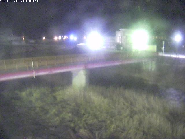 日野川１１2026/02/21 14:20:00