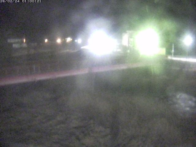 日野川１１2026/02/24 15:30:00