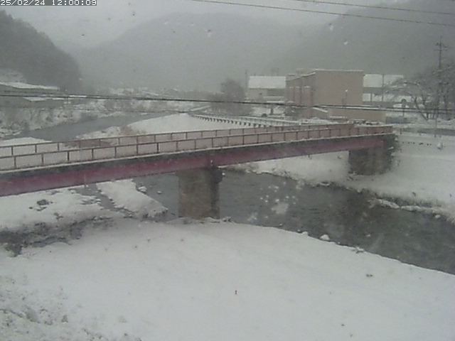 日野川１１2026/02/24 15:30:00