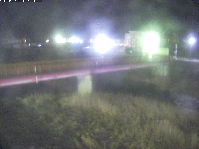 日野川１１2026/02/25 16:50:00