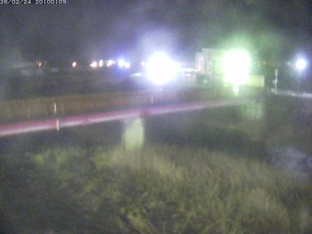 日野川１１2026/02/25 16:50:00