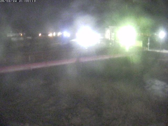 日野川１１2026/02/25 16:50:00