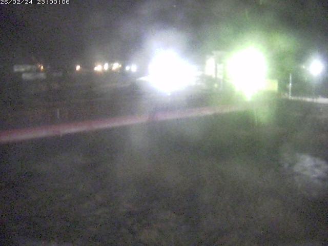 日野川１１2026/02/25 16:50:00