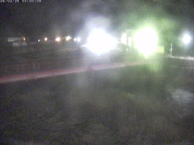 日野川１１2026/02/25 16:50:00