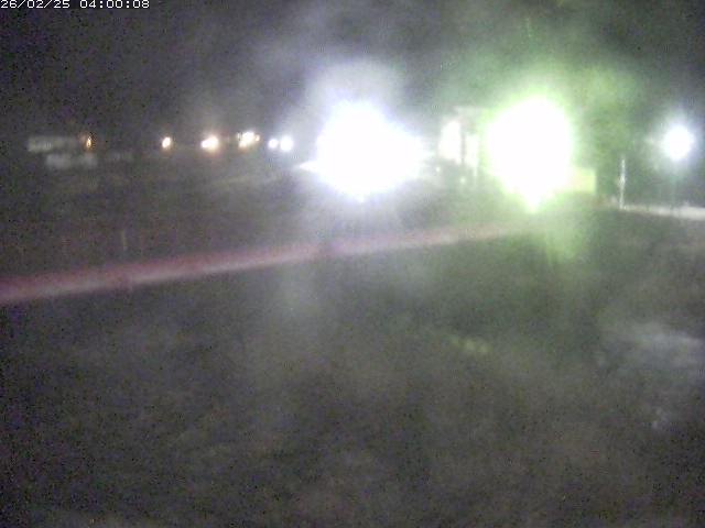 日野川１１2026/02/25 16:50:00