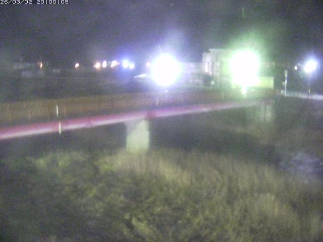 日野川１１2026/03/03 07:40