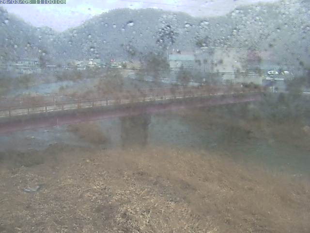 日野川１１2026/03/06 8:20:00