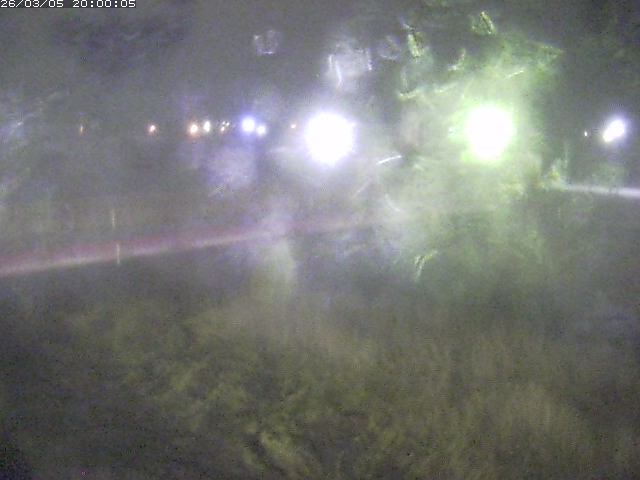 日野川１１2026/03/06 8:20:00