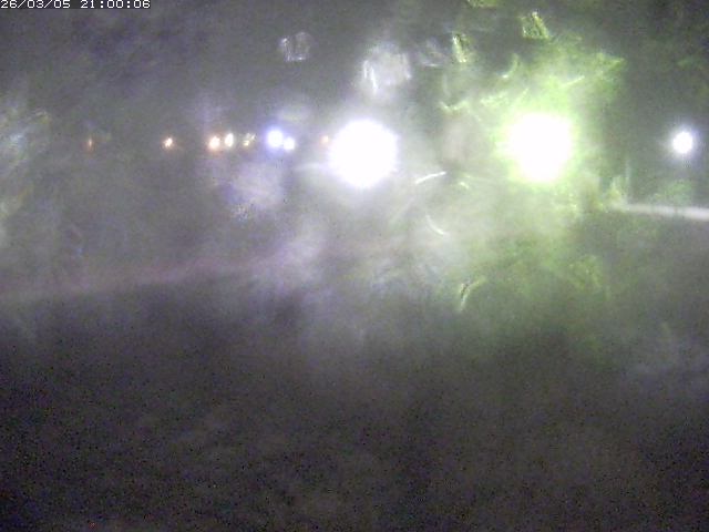 日野川１１2026/03/06 8:20:00