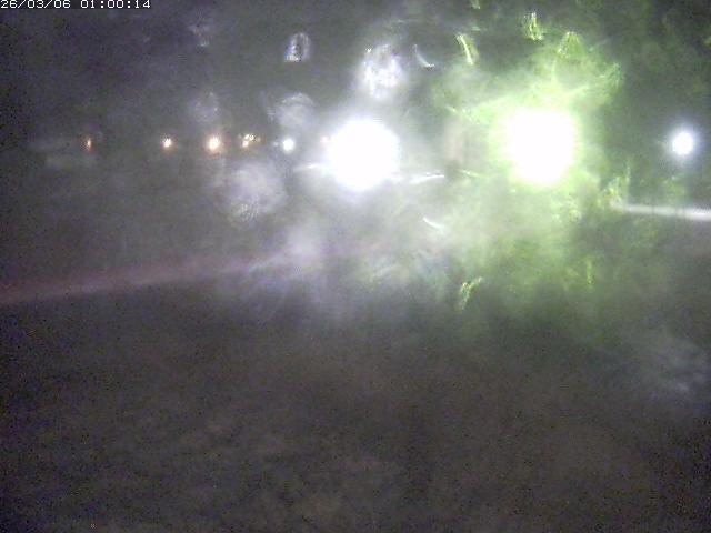 日野川１１2026/03/06 8:20:00