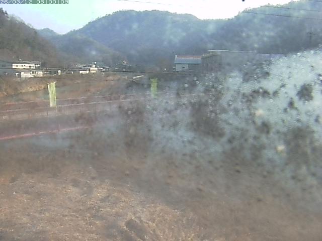 日野川１１2026/03/13 8:30:00