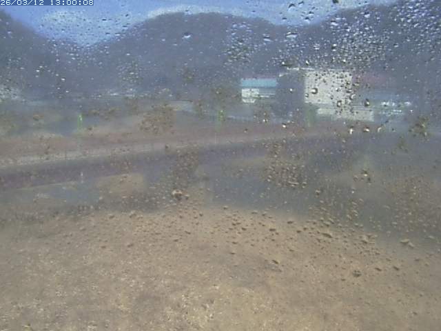 日野川１１2026/03/13 8:30:00