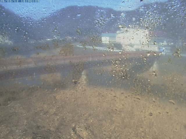 日野川１１2026/03/13 8:30:00