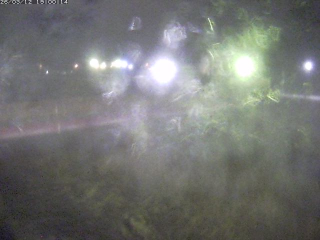 日野川１１2026/03/13 8:30:00