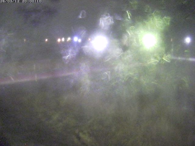 日野川１１2026/03/13 8:30:00