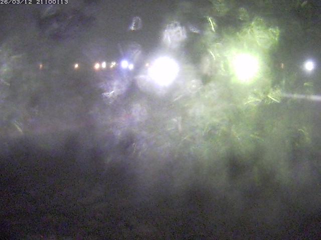 日野川１１2026/03/13 8:30:00