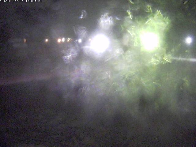 日野川１１2026/03/13 8:30:00