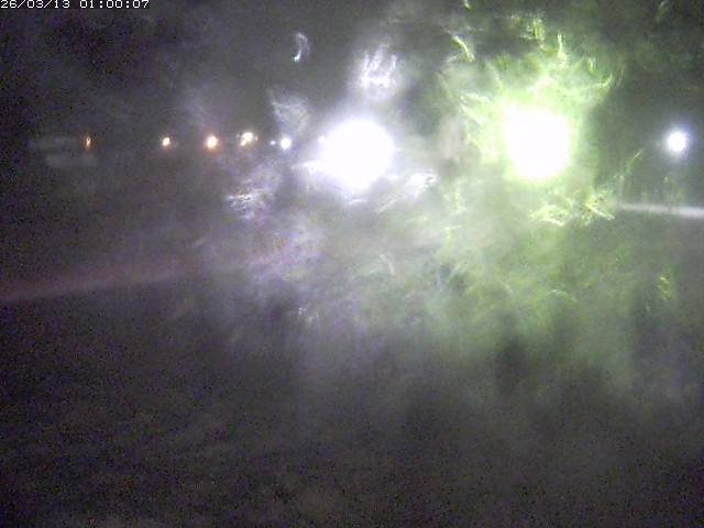 日野川１１2026/03/13 8:30:00