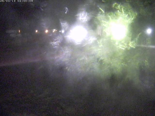 日野川１１2026/03/13 8:30:00