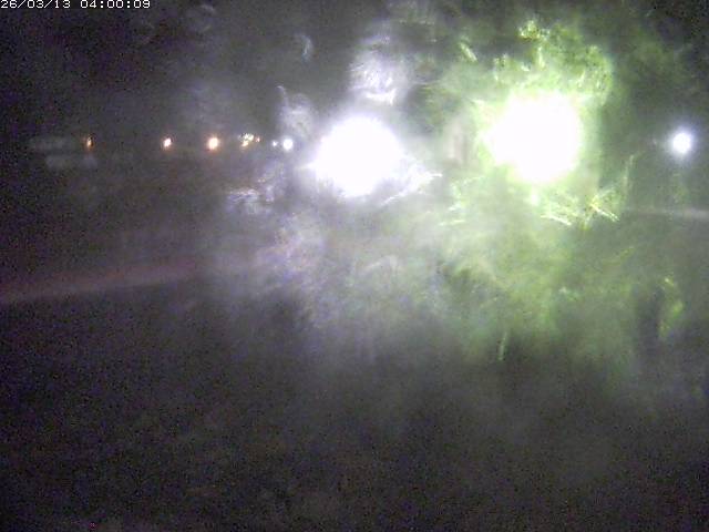 日野川１１2026/03/13 8:30:00