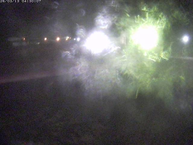 日野川１１2026/03/13 8:30:00