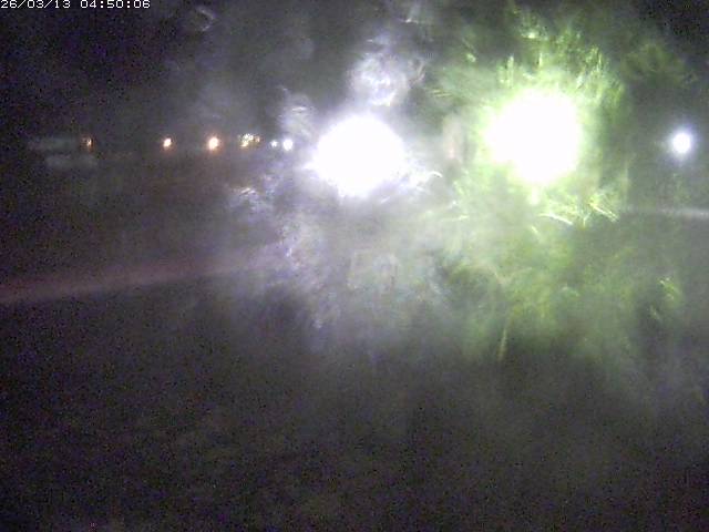 日野川１１2026/03/13 8:30:00