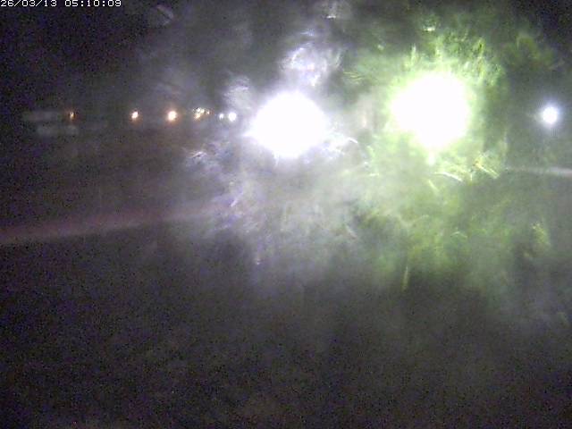 日野川１１2026/03/13 8:30:00