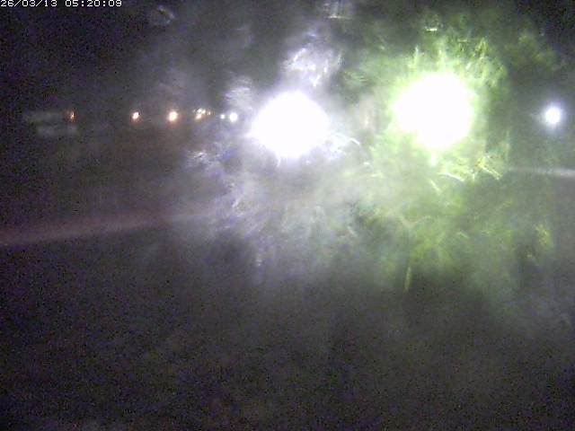 日野川１１2026/03/13 8:30:00