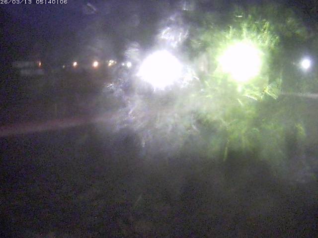 日野川１１2026/03/13 8:30:00