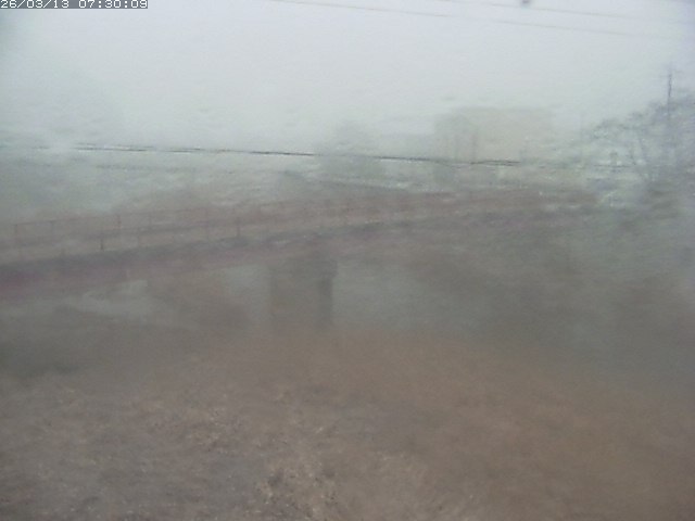 日野川１１2026/03/13 8:30:00