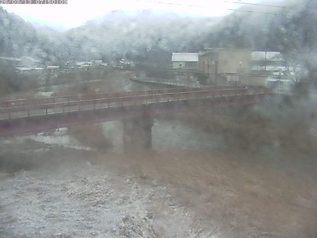 日野川１１2026/03/13 8:30:00