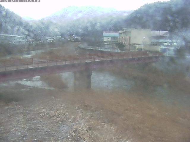 日野川１１2026/03/13 8:30:00